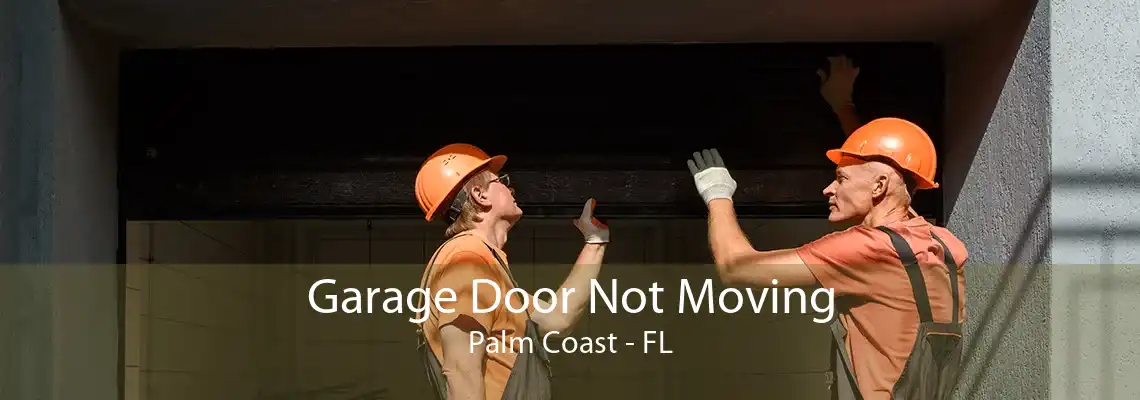 Garage Door Not Moving Palm Coast - FL